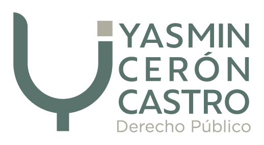 Yasmin Cerón: Derecho Público